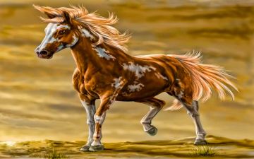 Download Wild Horses Running Wallpaper 1920x1080 - Android / iPhone HD Wallpaper Background Download